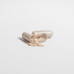 NeuraFocus Lion's Mane - Image 6